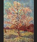 Bloom Canvas Paintings - Peach Tree in Bloom